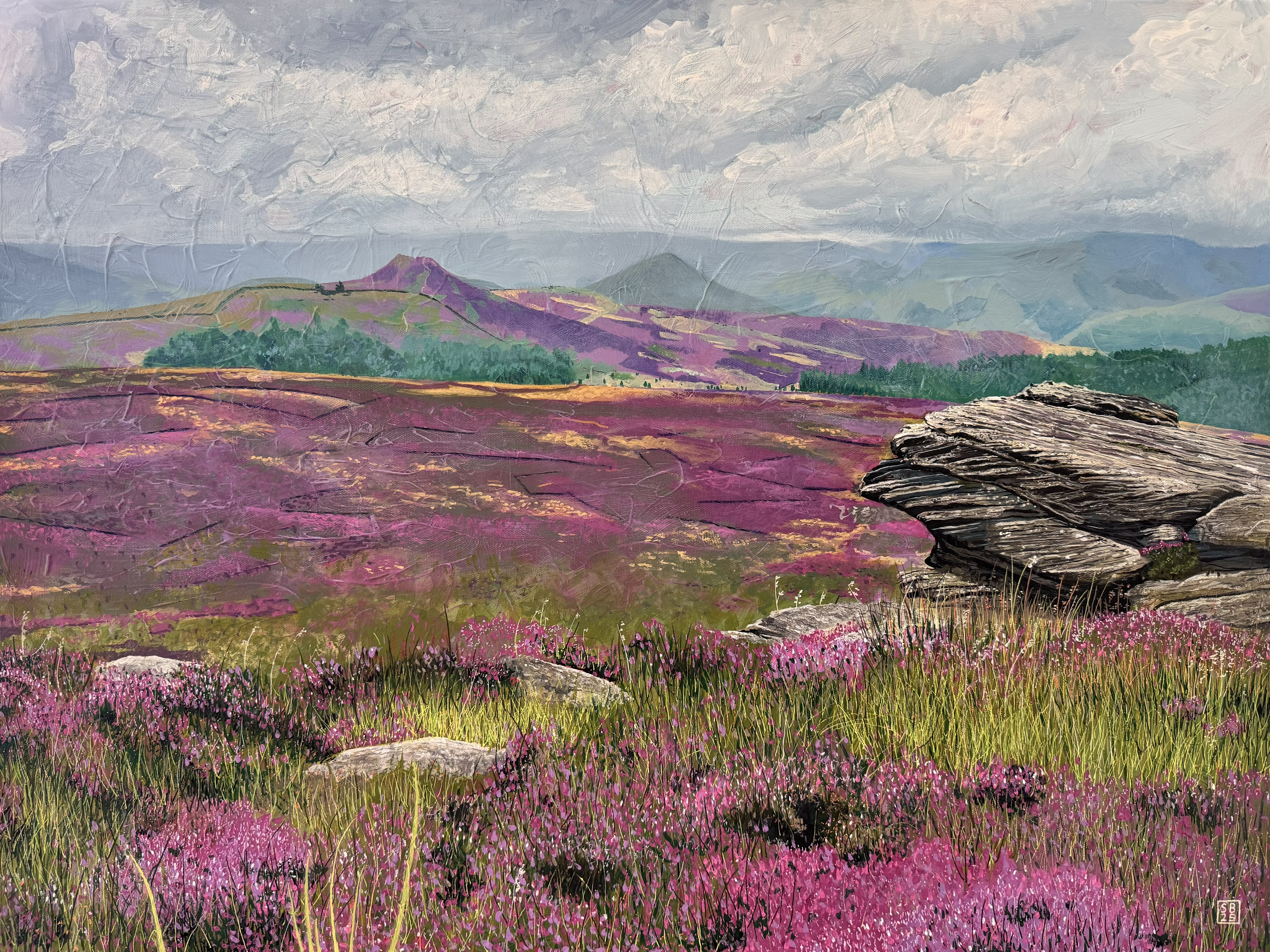 View of heather from Stanage Edge
